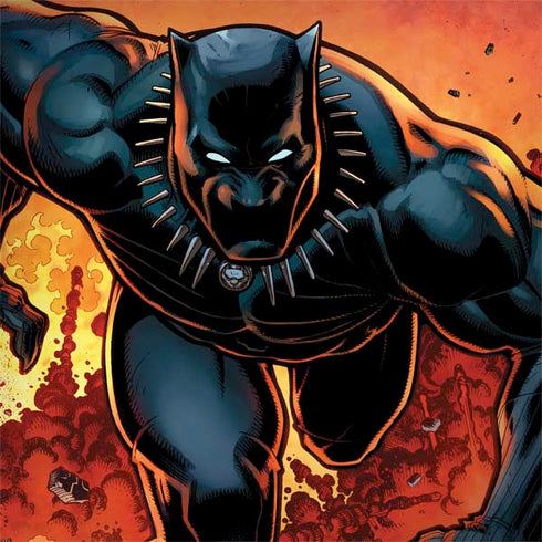 Marvel Black Panther Rise of Black Panther Dell Inspiron Skin